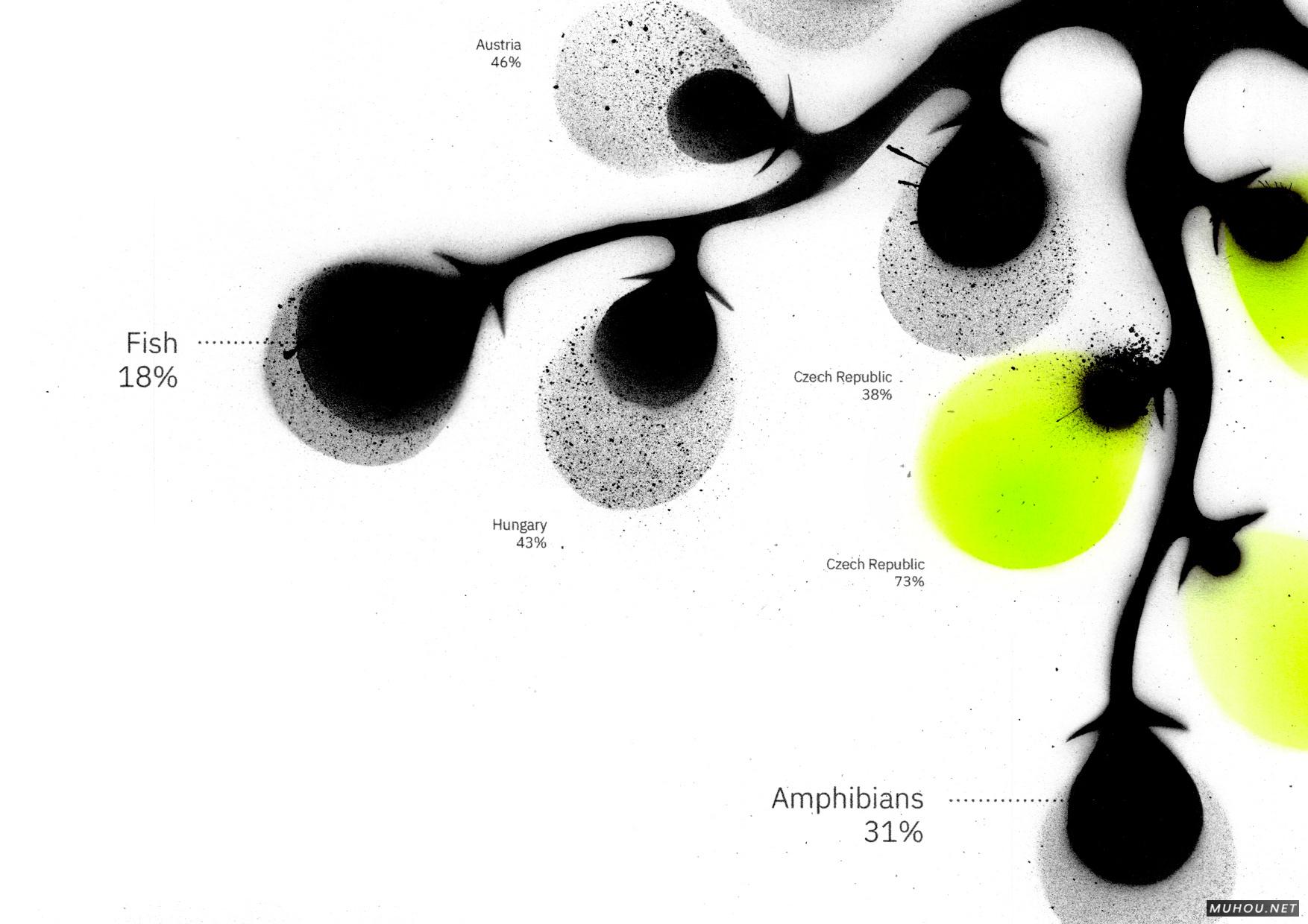 细胞理论画册设计