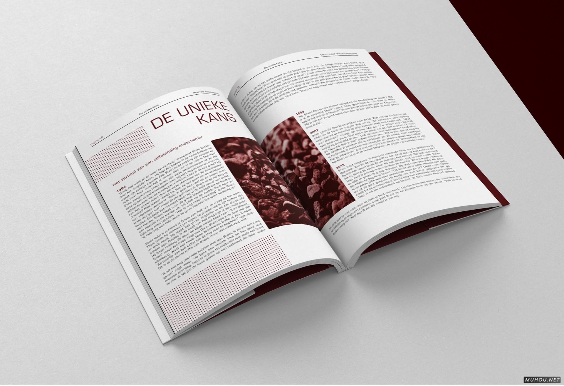 CREATIE图形设计组合书籍设计 [17P]