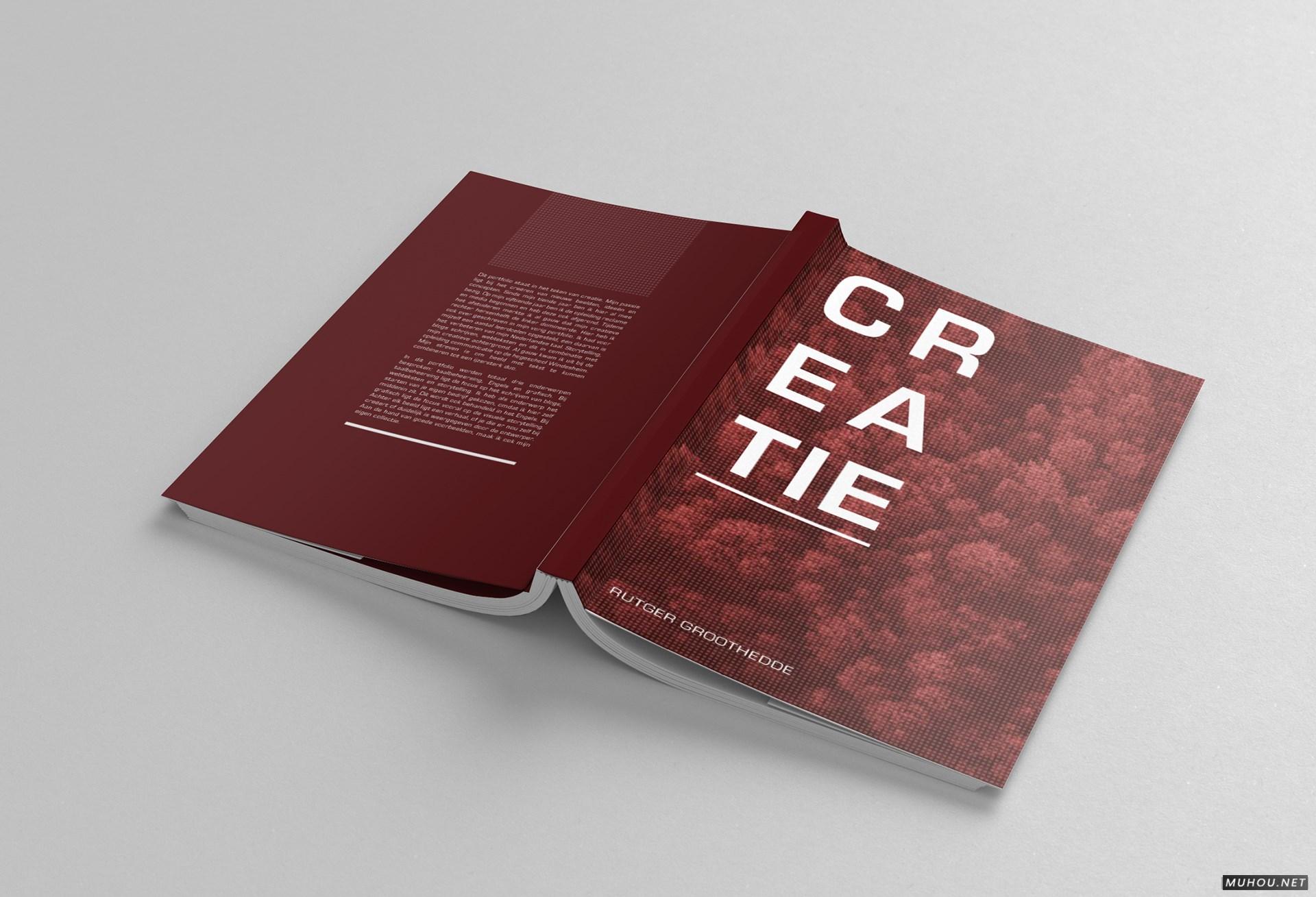 CREATIE图形设计组合书籍设计 [17P]