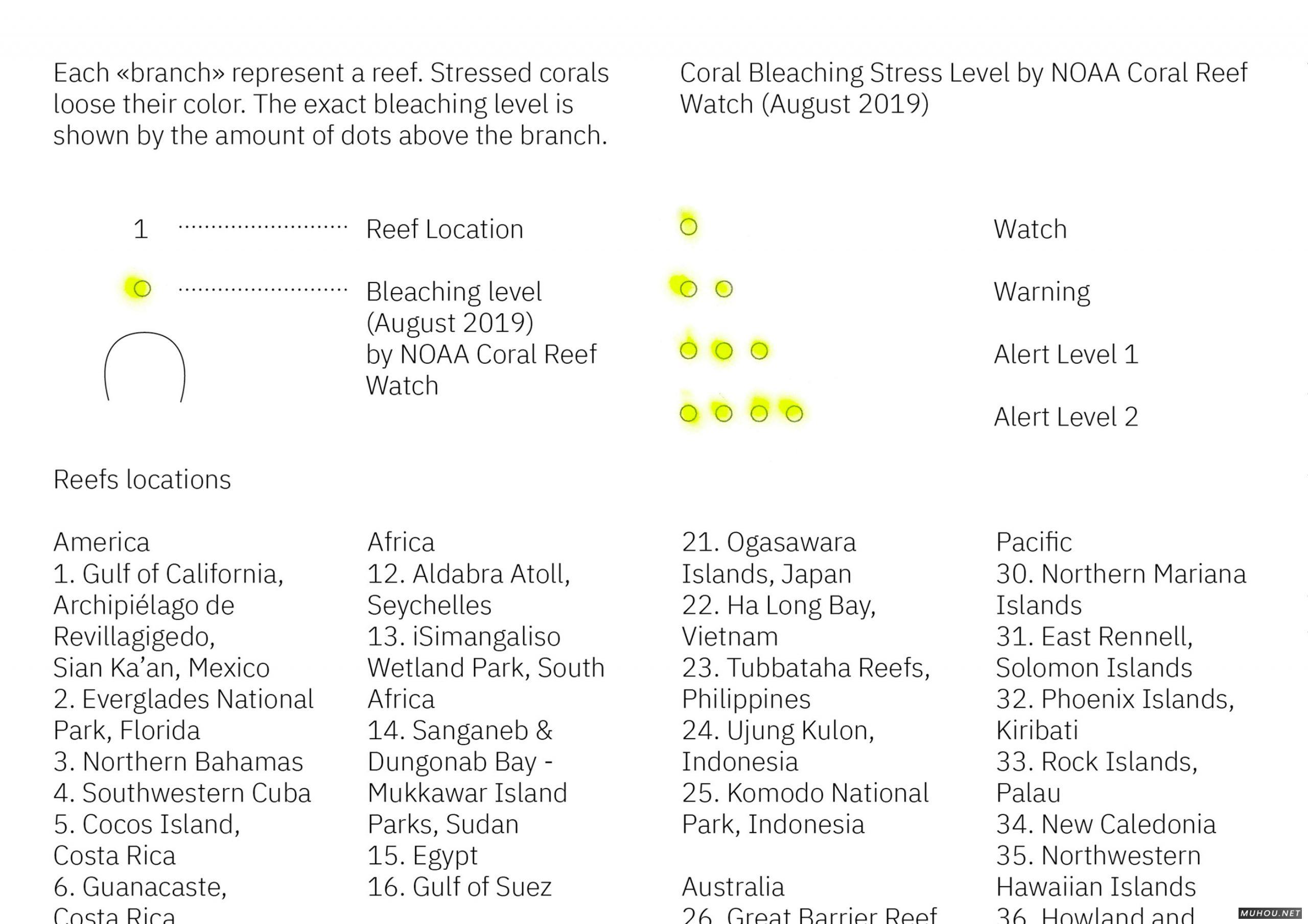 细胞理论画册设计