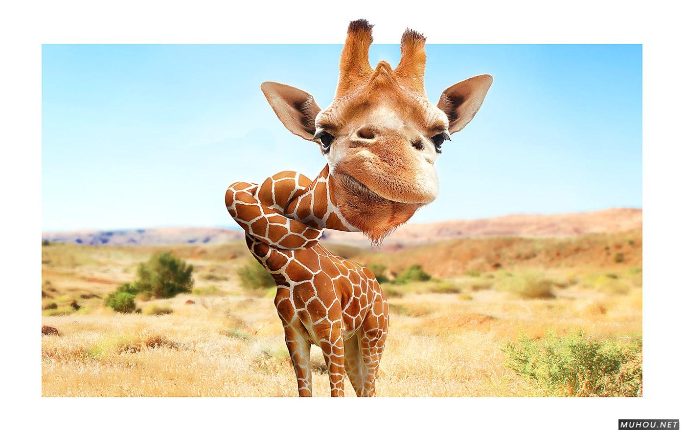 [180P]激脑-六月创意合成案例欣赏搜集 6/7