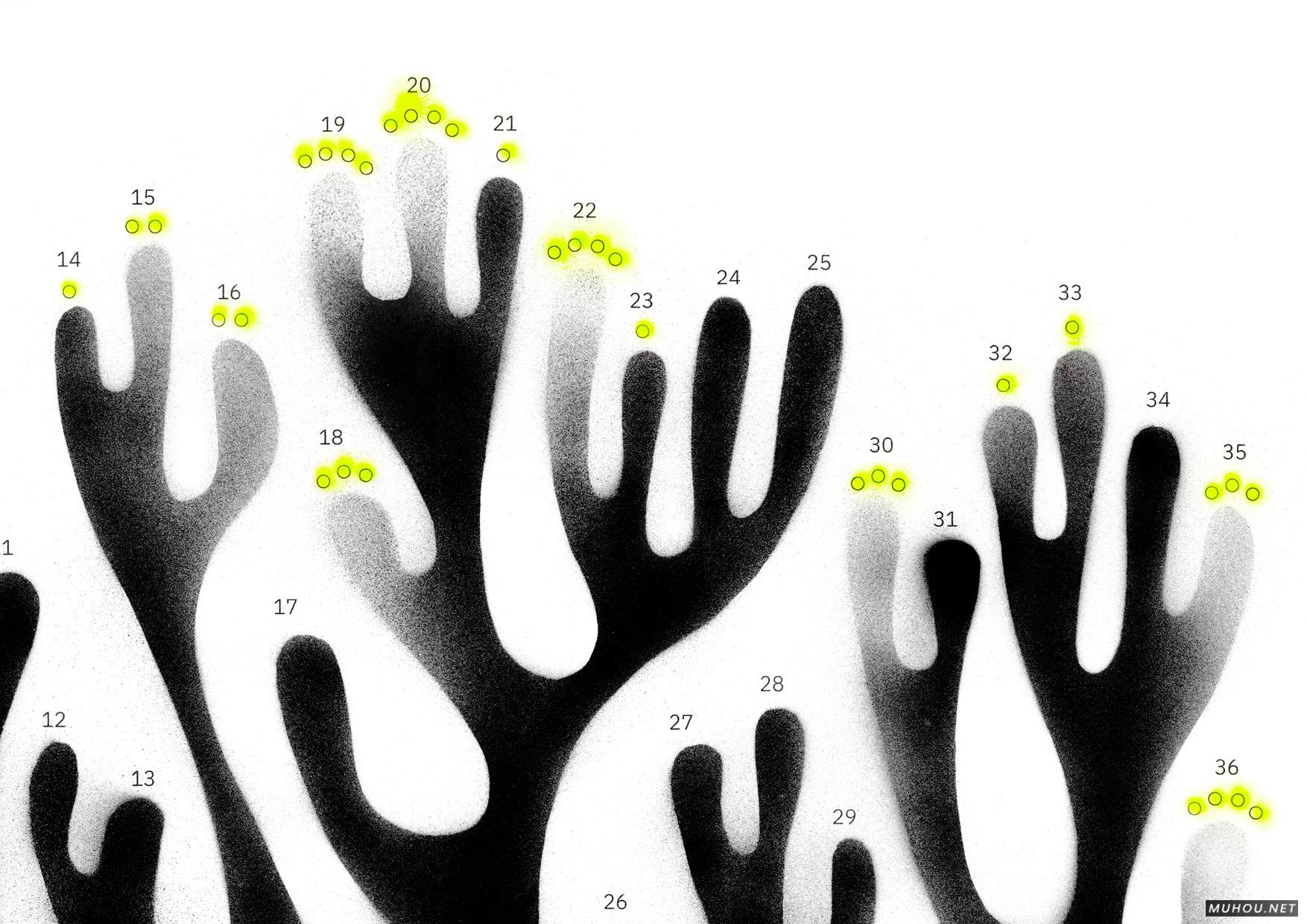 细胞理论画册设计