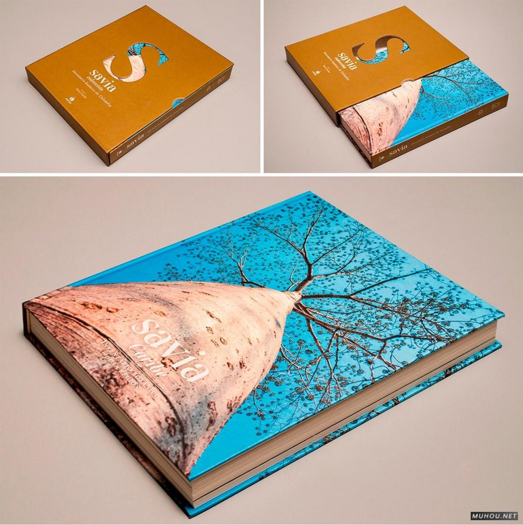 60个专业书籍画册页面设计佳作搜集整理 2/3