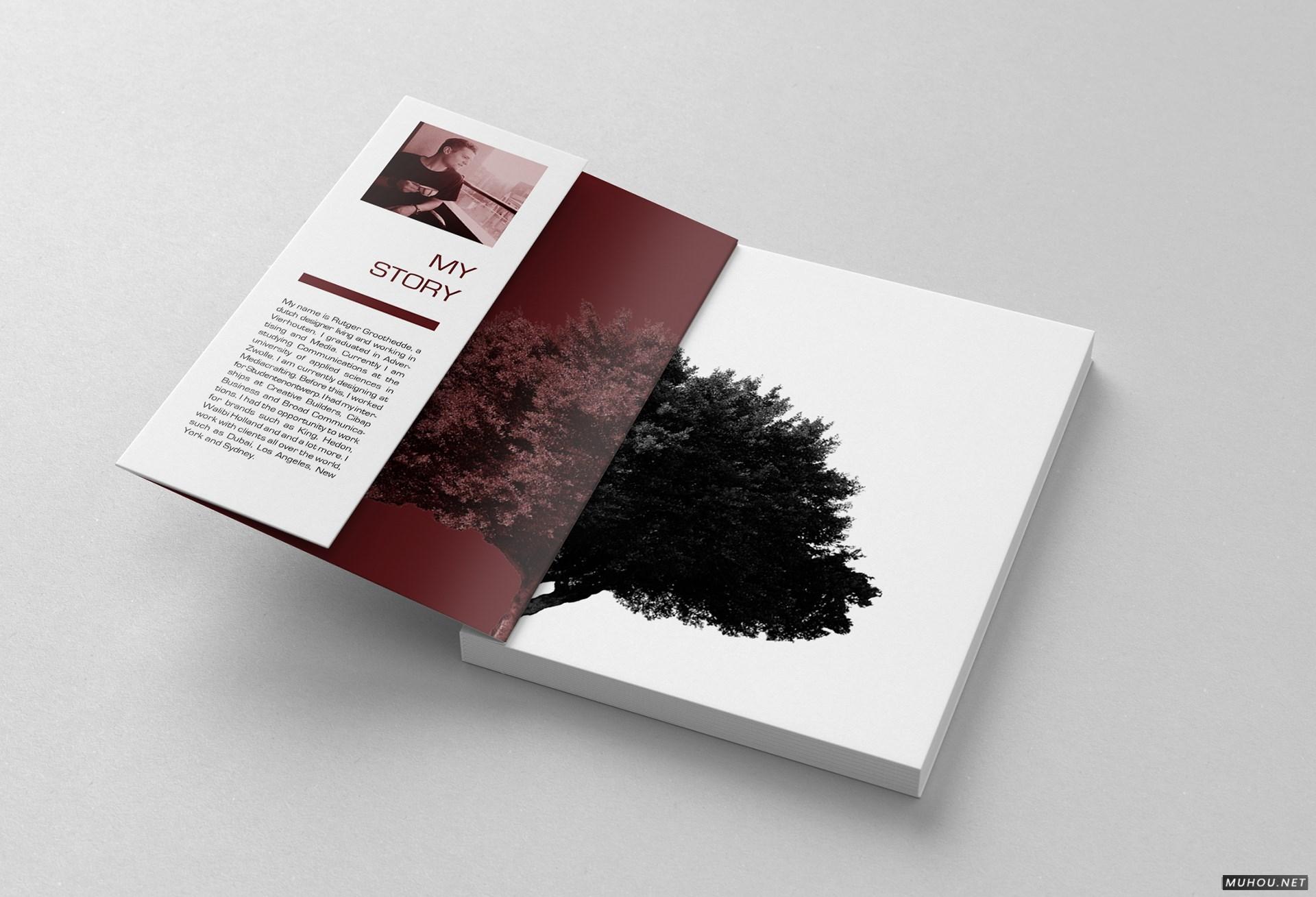 CREATIE图形设计组合书籍设计 [17P]