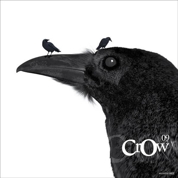 怀念2011国外各种产品载体上的简洁创意挂历日历设计欣赏-A-2