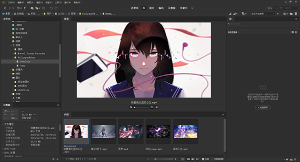 BR2020照片管理软件Adobe Bridge 2020 v10.0.1 SP_WIN64_简体中文破解版免费下载