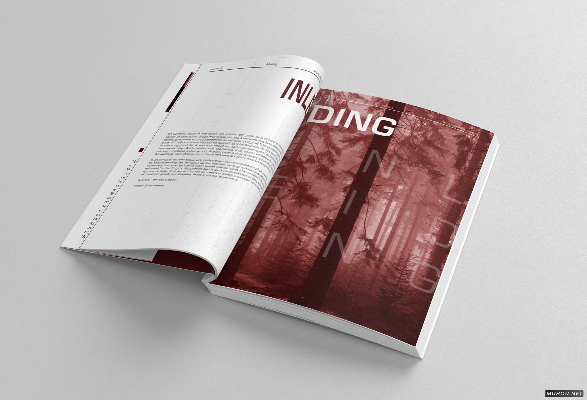 CREATIE图形设计组合书籍设计 [17P]