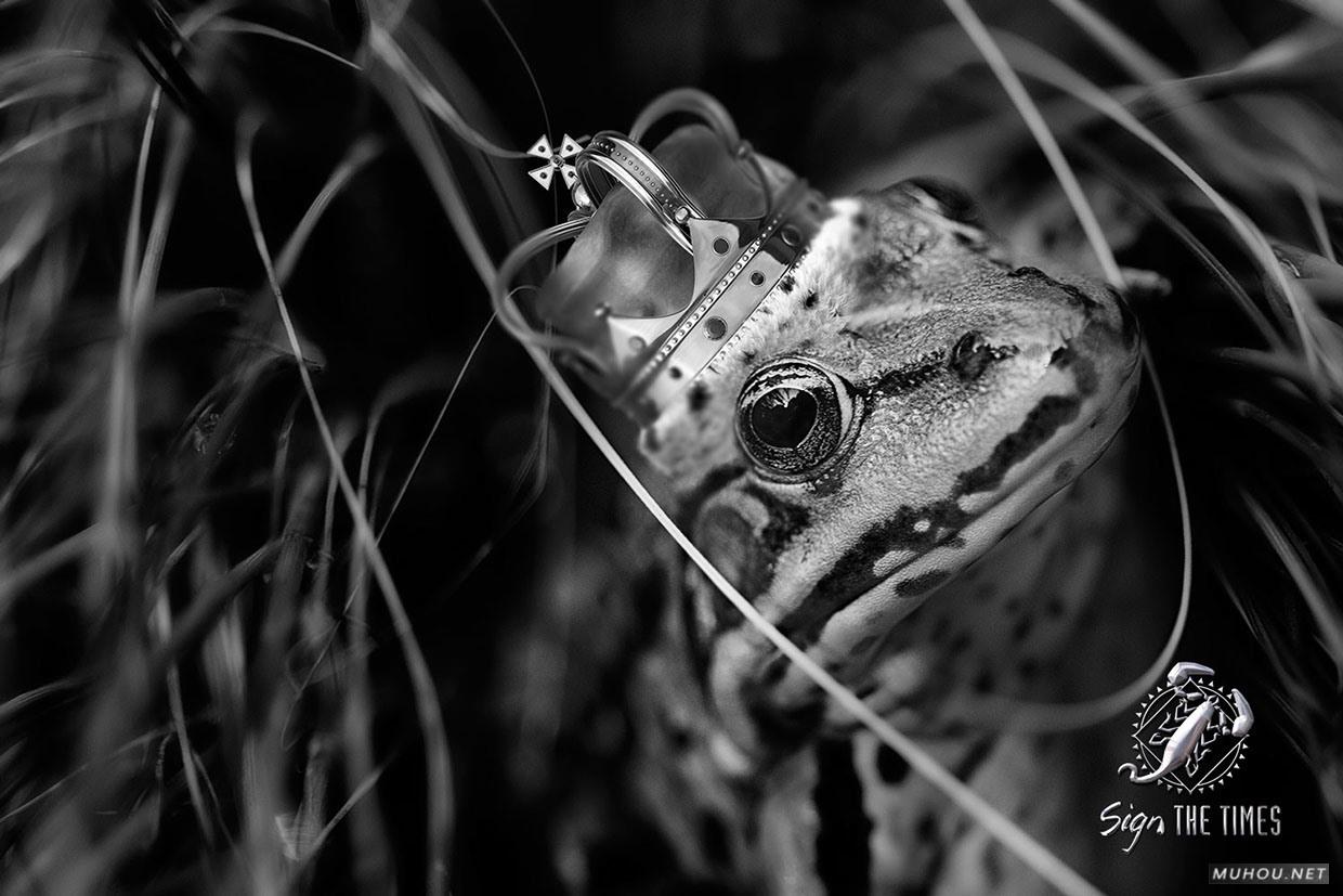 [392P]四月优秀国外创意广告设计作品搜集 - 2/16