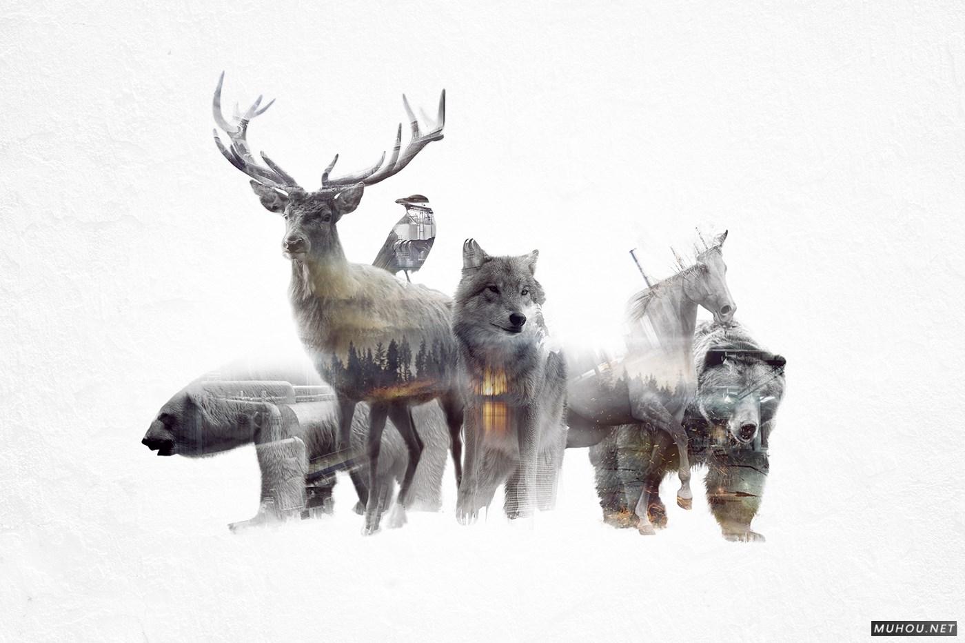 动画双曝光图像Cinemagraph动静结合GIF作品 [14P]