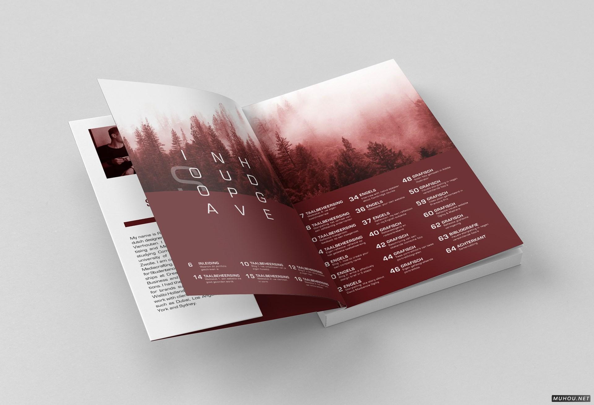 CREATIE图形设计组合书籍设计 [17P]