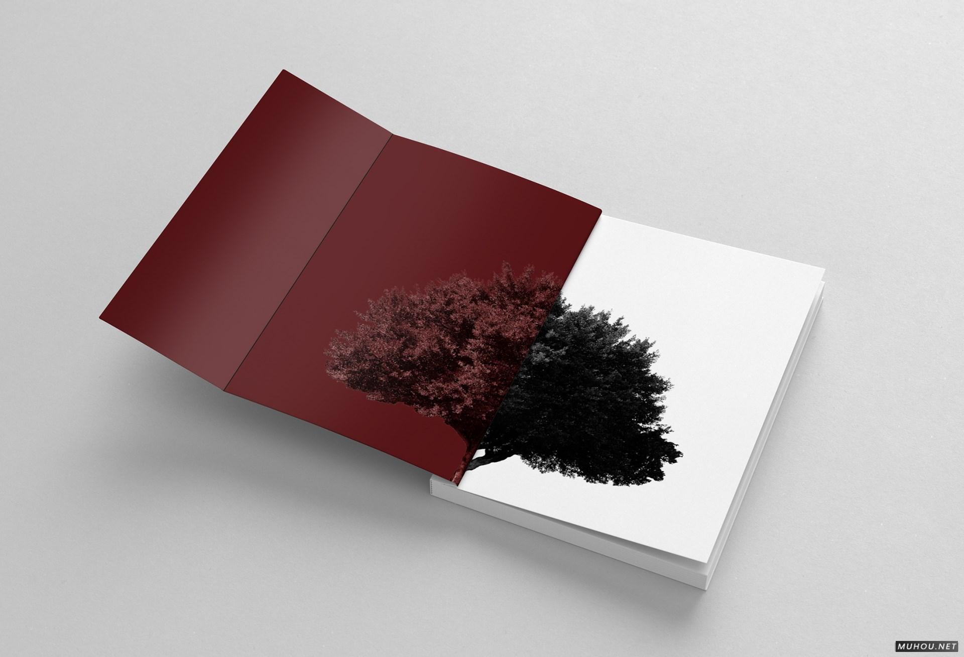 CREATIE图形设计组合书籍设计 [17P]