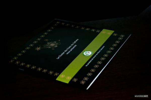 横扫天下国外画册书籍封面设计DOOOOR-OCT[382P]14/20