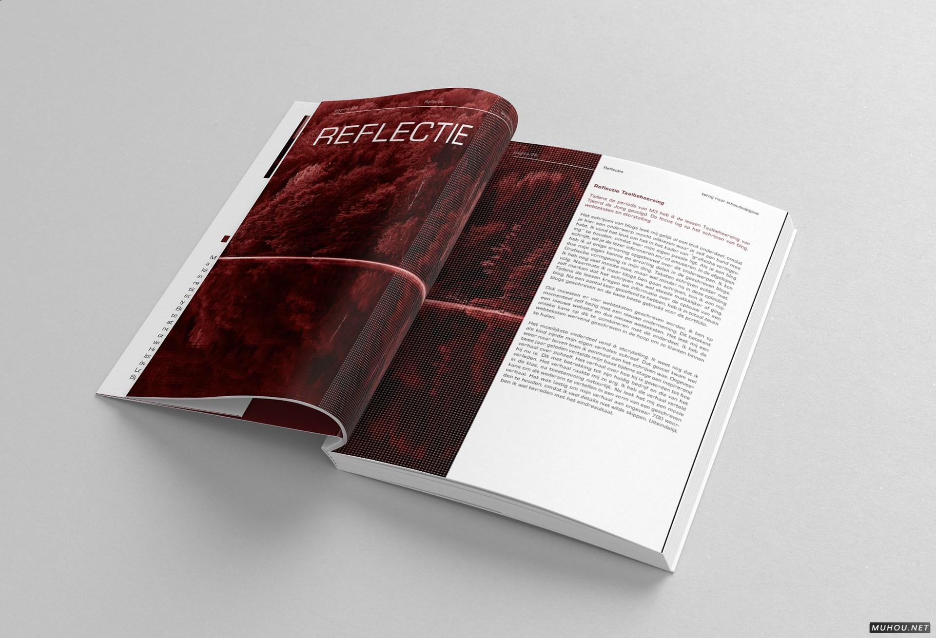 CREATIE图形设计组合书籍设计 [17P]