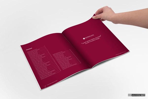 [89P]BRAXAS大气极简鲜明色彩企业画册设计 3/4