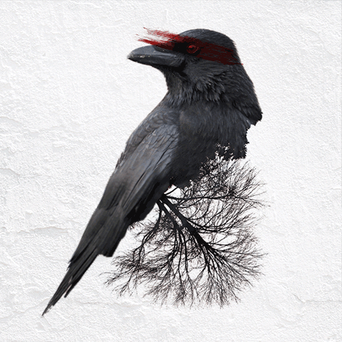 动画双曝光图像Cinemagraph动静结合GIF作品 [14P]