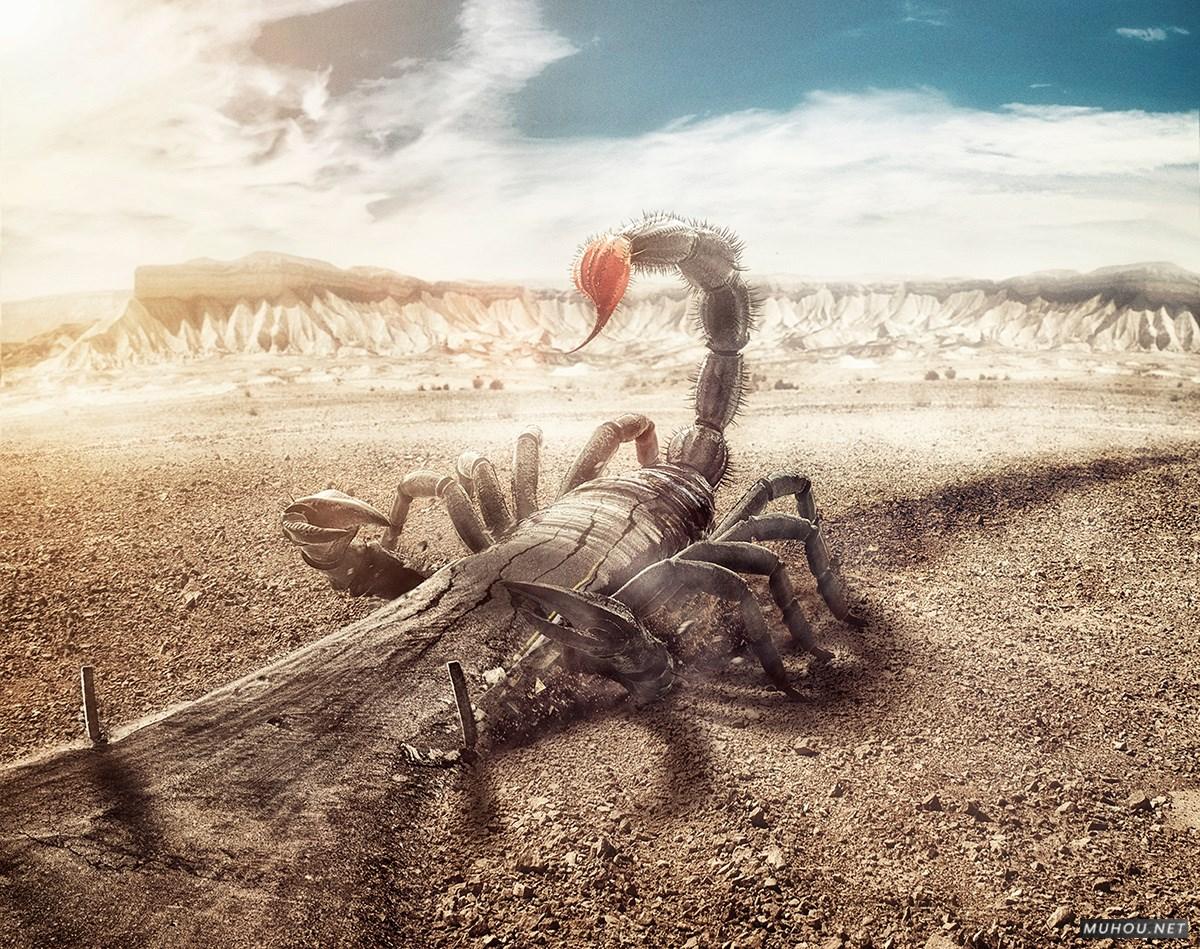 Amar Kakad肖像与汽车修图作品前后对比 [27P]