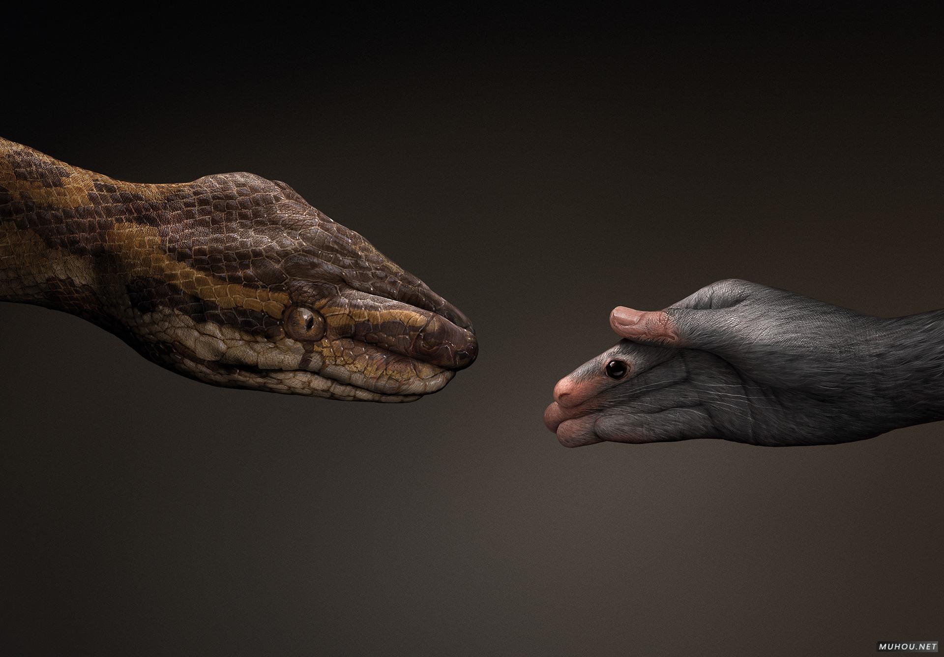 [392P]四月优秀国外创意广告设计作品搜集 - 13/16