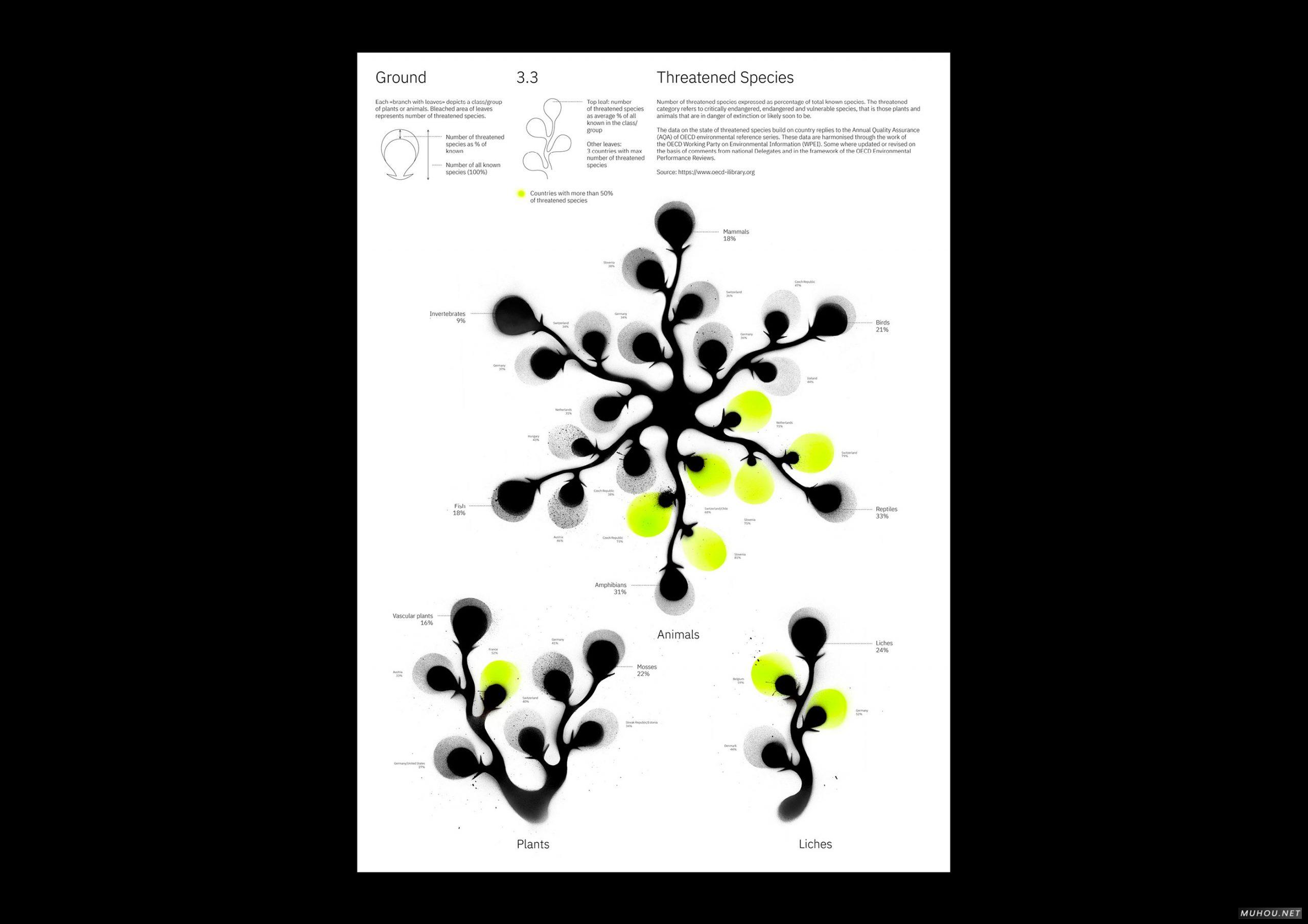 细胞理论画册设计