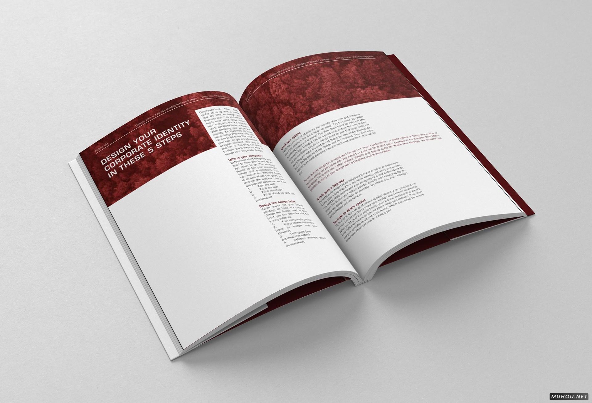 CREATIE图形设计组合书籍设计 [17P]