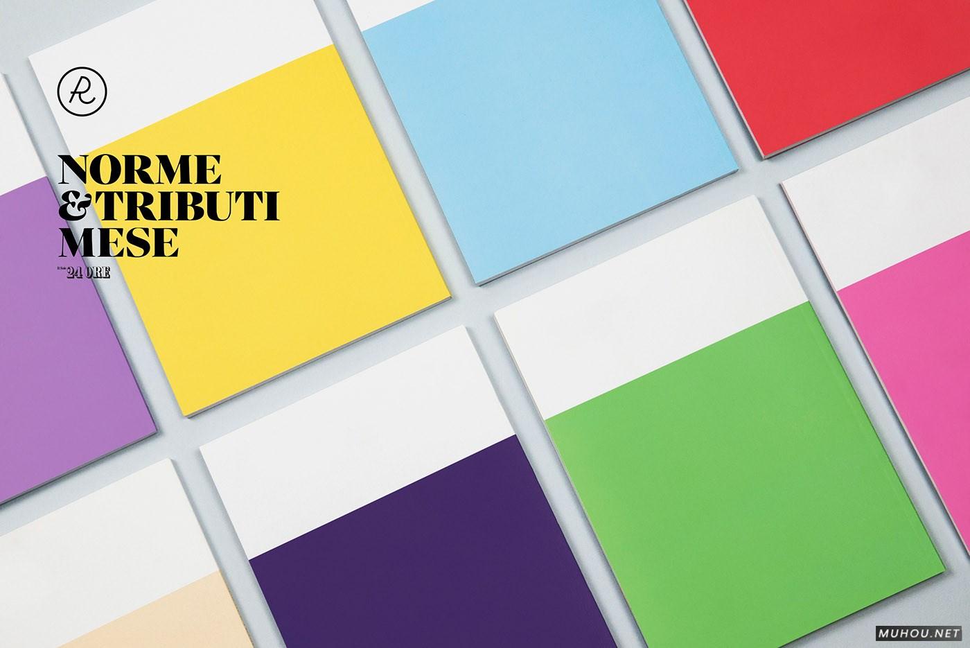 NORME清爽几何插画书籍封面设计 [10P]