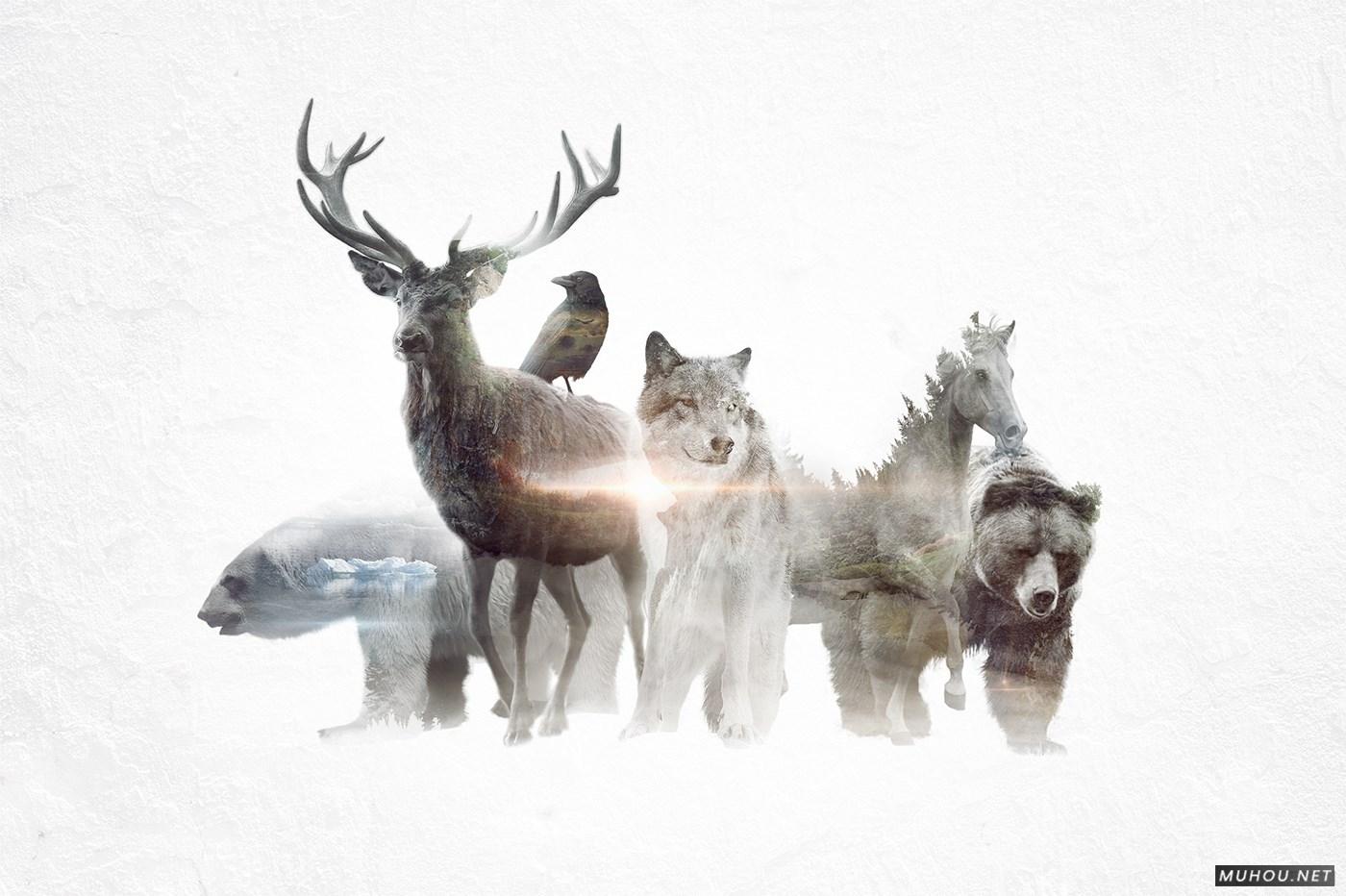 动画双曝光图像Cinemagraph动静结合GIF作品 [14P]