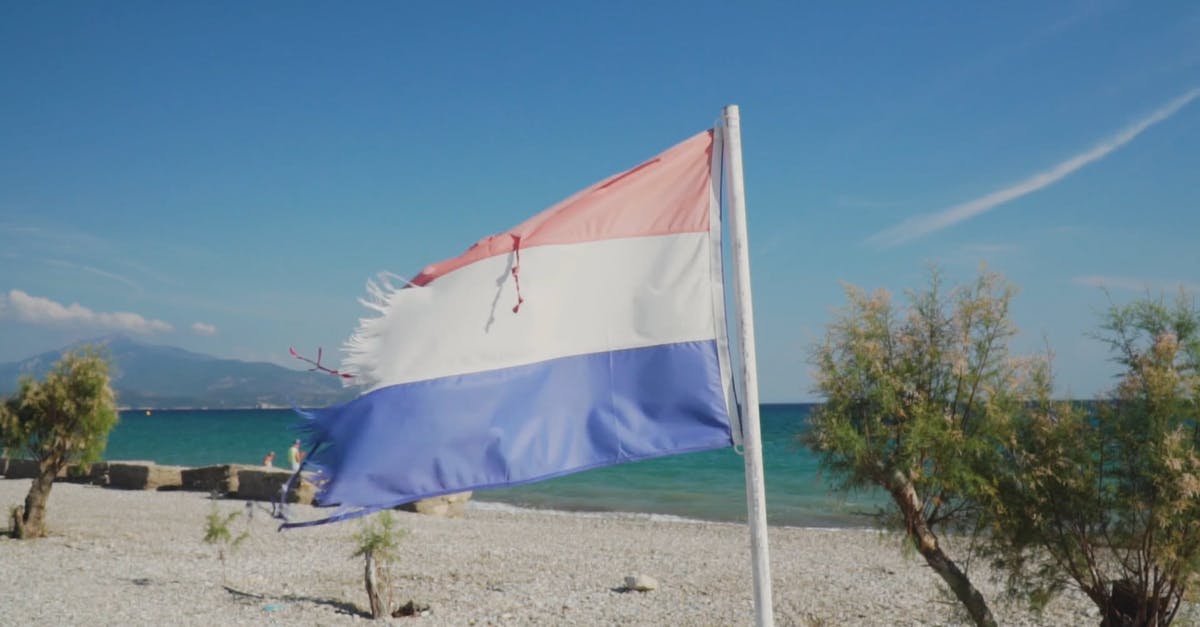3283743|荷兰国旗插在海滩上CC0视频素材
