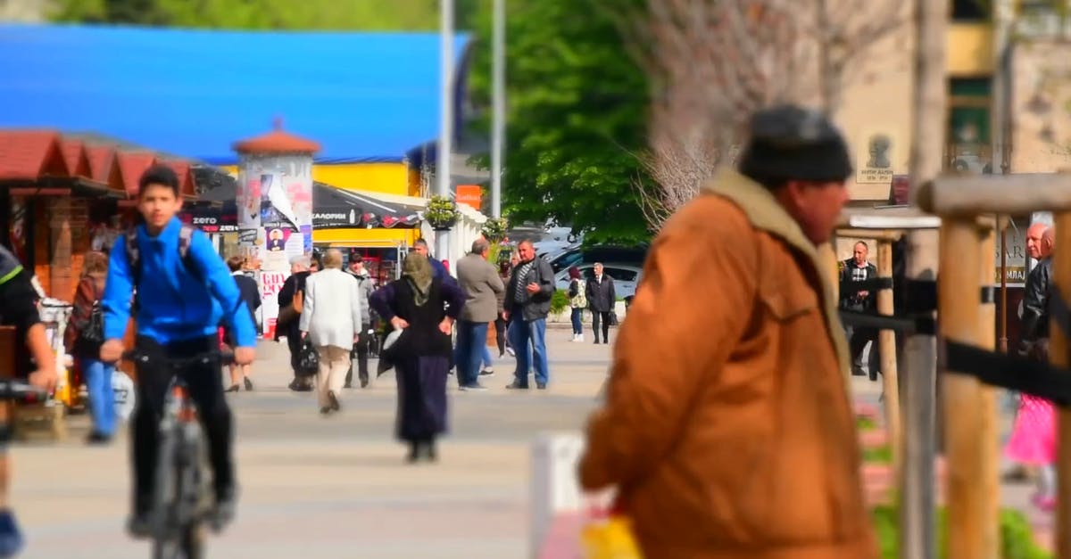 1625973|国外公园的游客延时摄影CC0视频素材插图