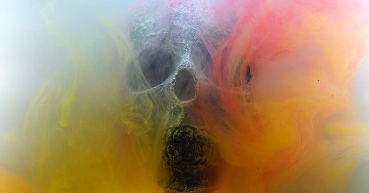 1725594|烟雾和恐怖的骷髅头4KCC0视频素材插图