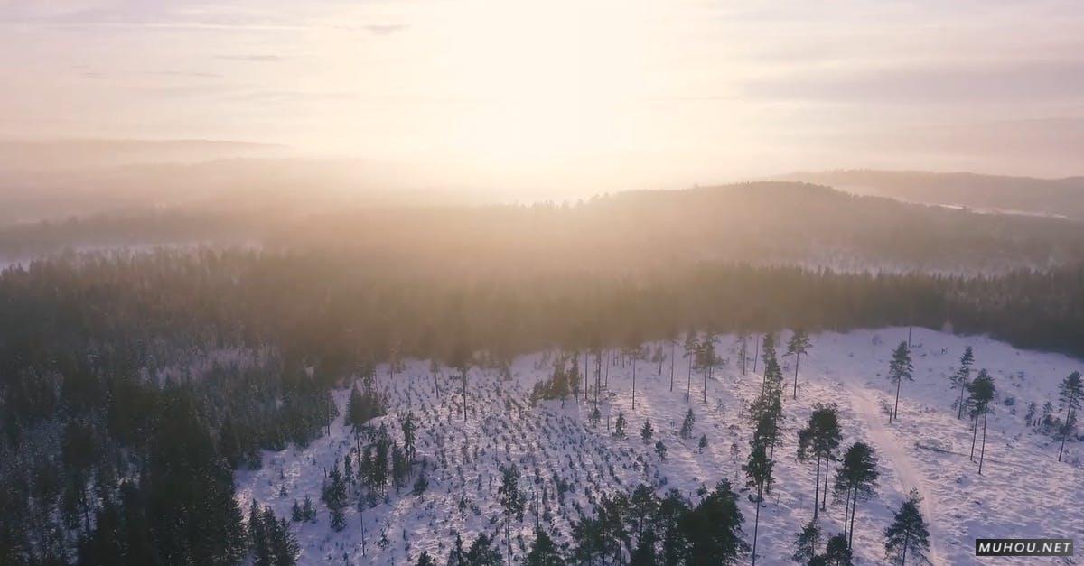 3205790|被冰雪覆盖的森林航拍日出CC0视频素材插图