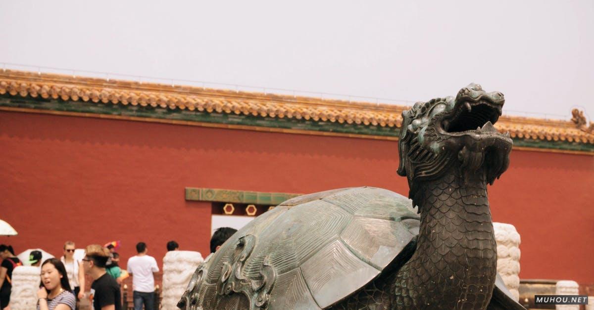 2953623|中国建筑前的龙龟4KCC0视频素材插图
