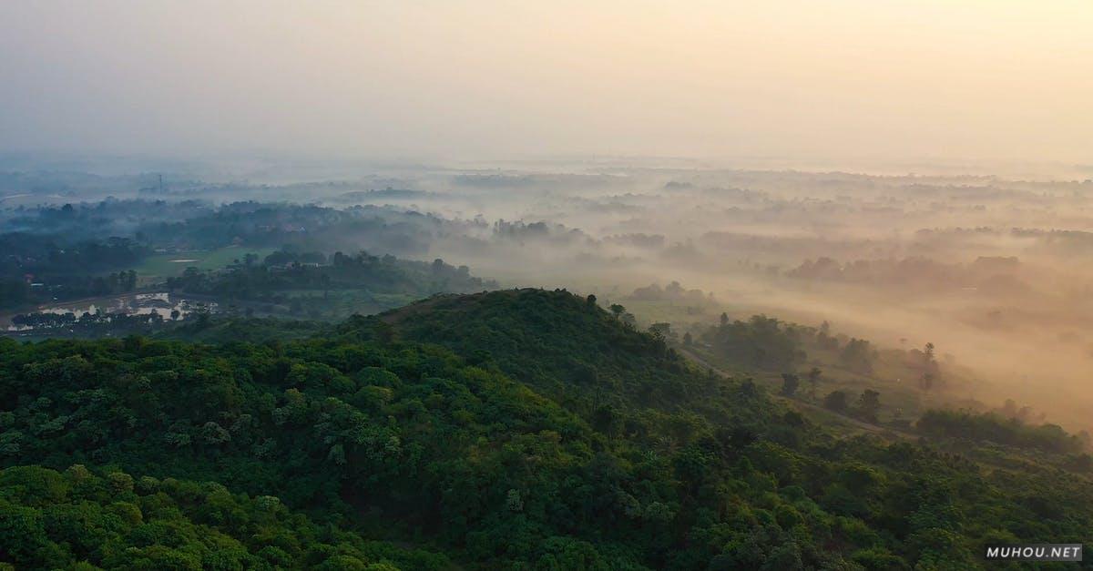 2547258|黄昏时的印度尼西亚国家森林和雾气4KCC0视频素材插图