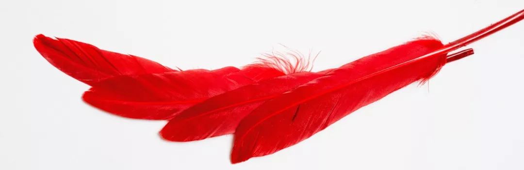 Adobe的御用女模特，居然是一个P图大神！