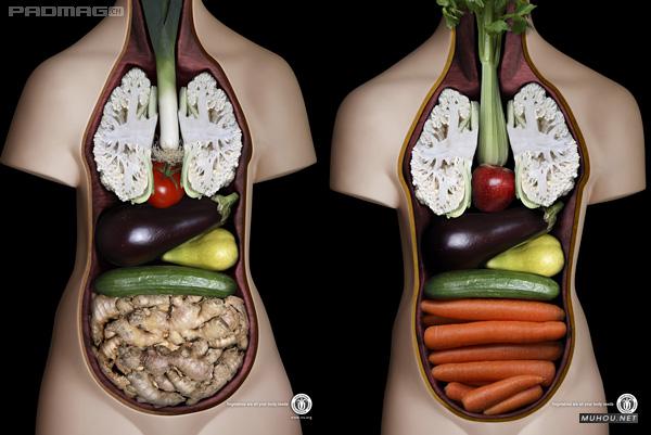 今天的新鲜怀旧创意广告闪亮登场[15P]