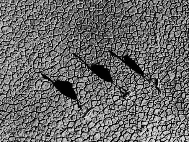 2019自然摄影师大赛优秀作品欣赏，来自全世界的惊艳瞬间