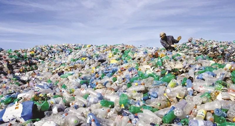 捡来17万根吸管搭成巨型海浪，他的环保创意太有冲击力！