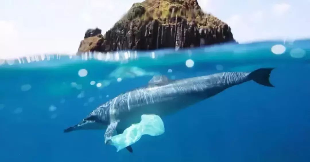 捡来17万根吸管搭成巨型海浪，他的环保创意太有冲击力！