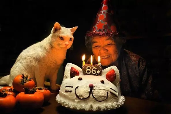 奶奶和猫：一个戳中你柔软内心的温暖故事