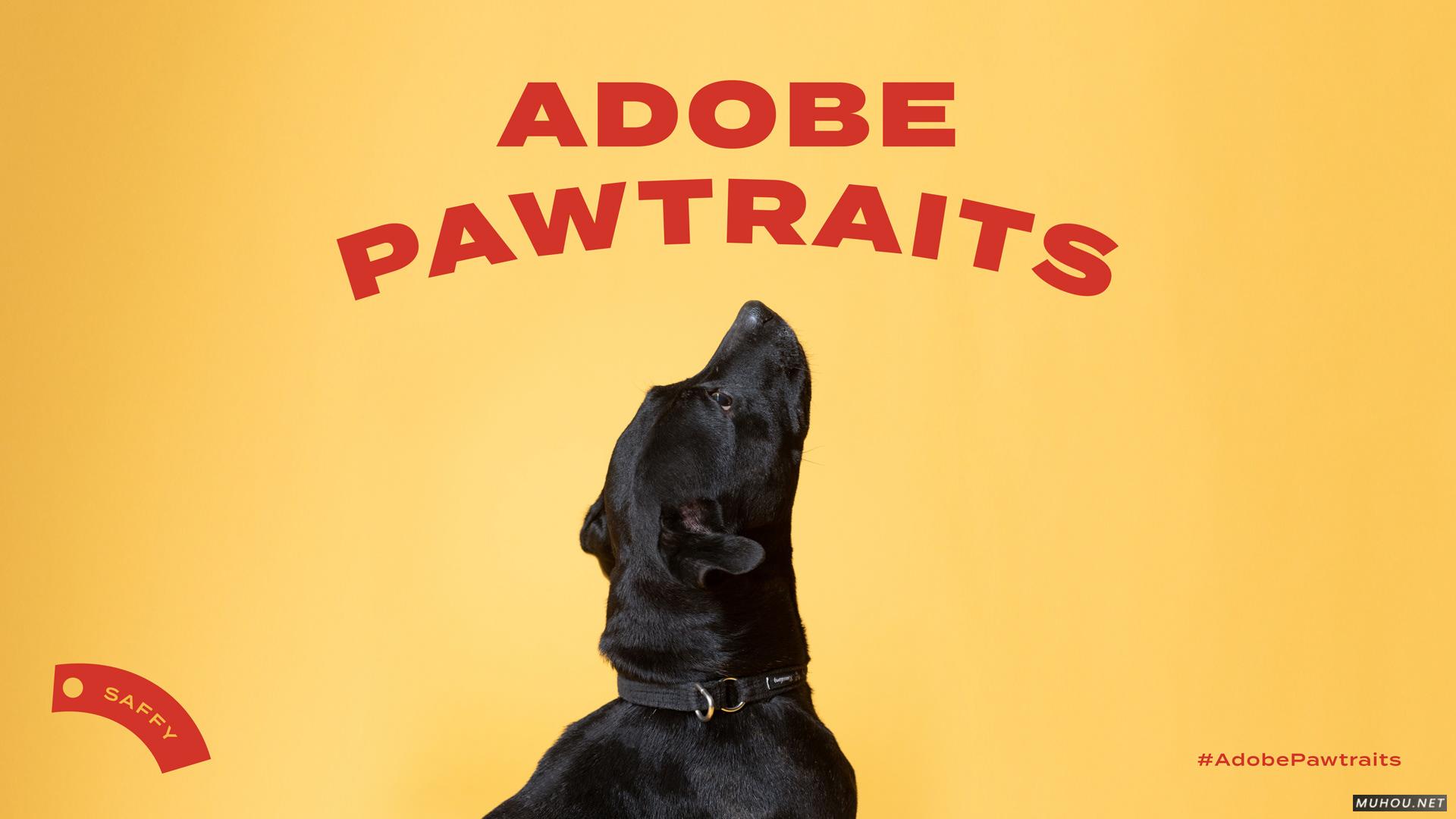 Adobe Pawtraits-狗狗平面海报设计