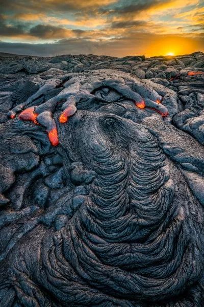 2019自然摄影师大赛优秀作品欣赏，来自全世界的惊艳瞬间