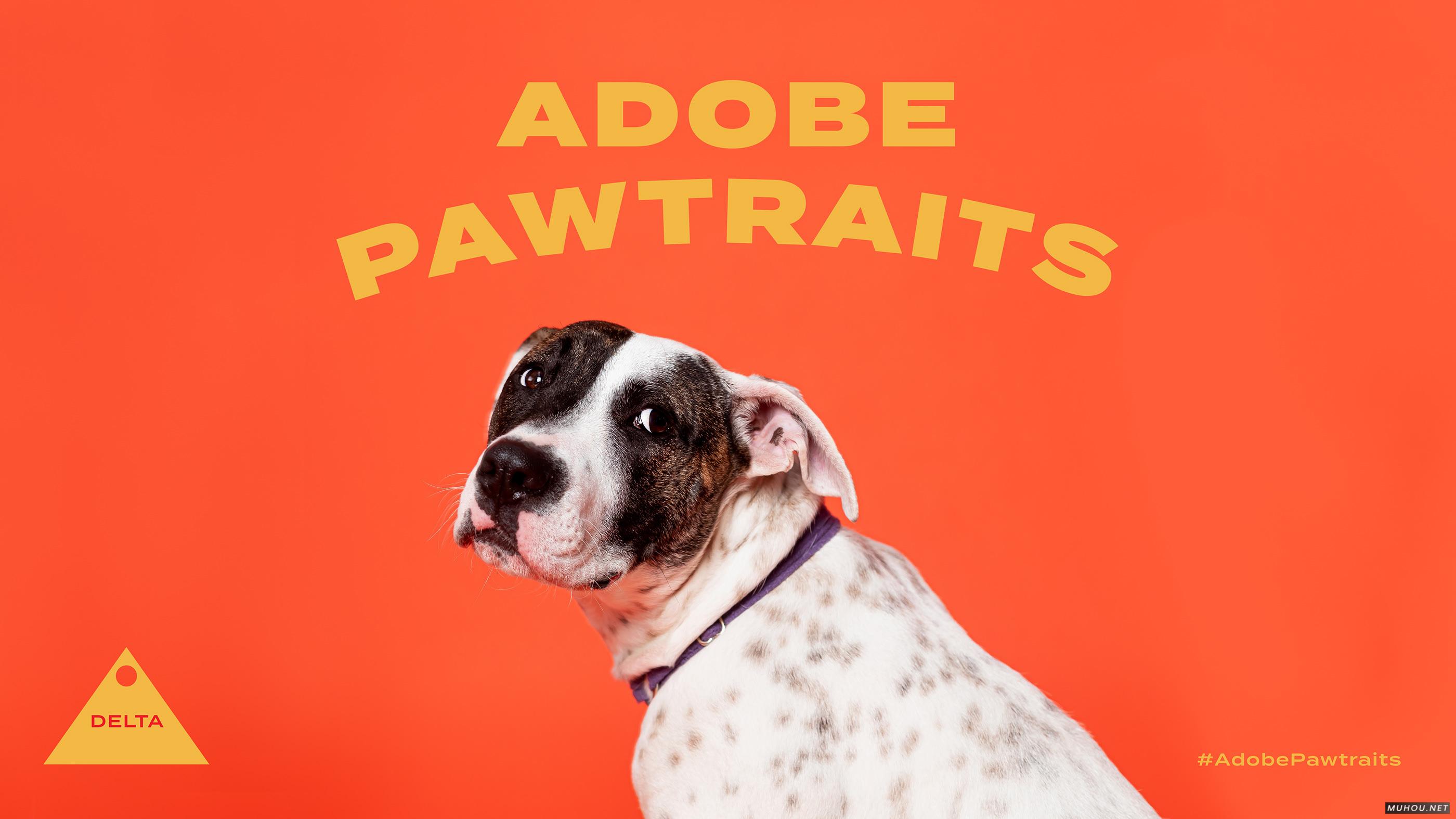 Adobe Pawtraits-狗狗平面海报设计