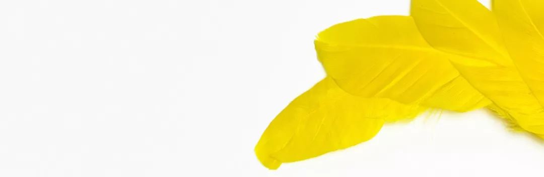 Adobe的御用女模特，居然是一个P图大神！