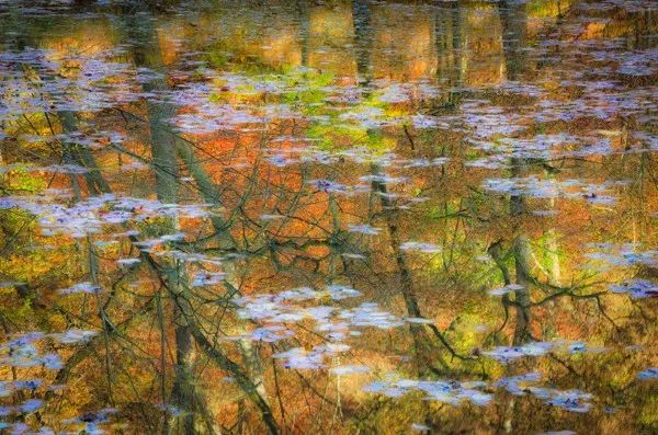 2019自然摄影师大赛优秀作品欣赏，来自全世界的惊艳瞬间