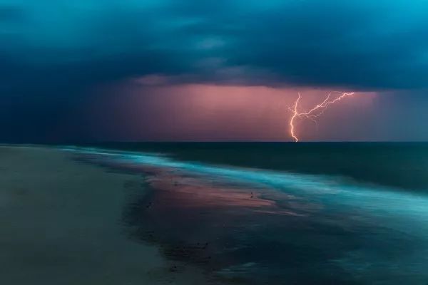 2019自然摄影师大赛优秀作品欣赏，来自全世界的惊艳瞬间