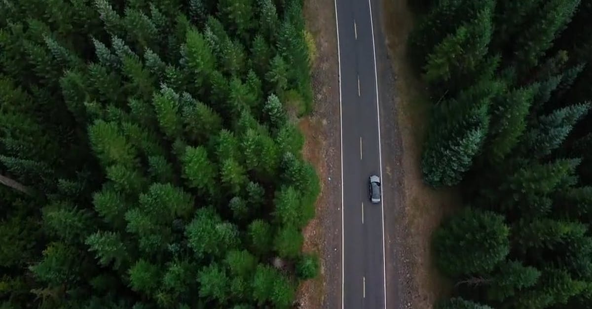1426695|航拍森林中的公路旅行SDCC0视频素材插图