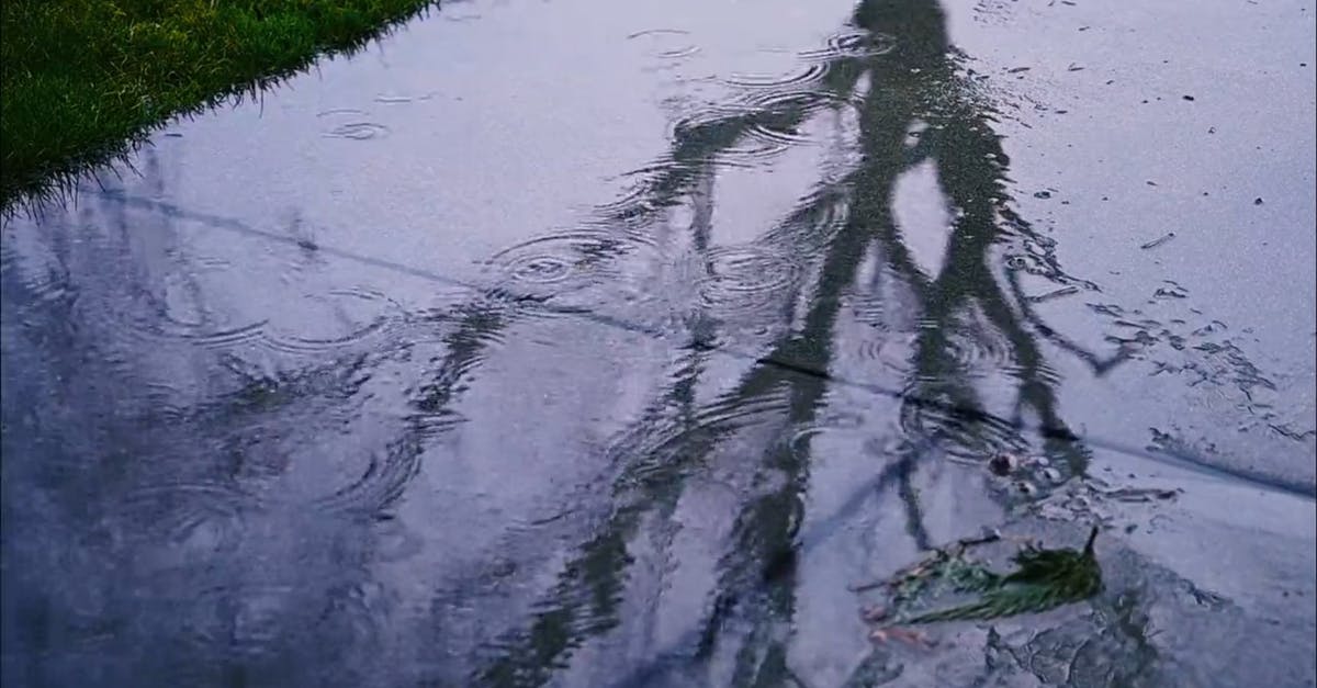 2059694|水面放射植物倒影下雨水滴HDCC0视频素材插图