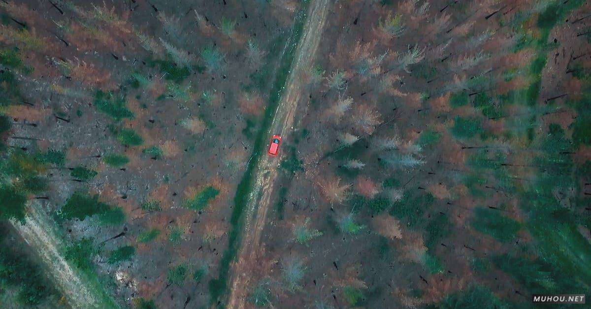 3116688|航拍红色汽车穿过森林公路4KCC0视频素材