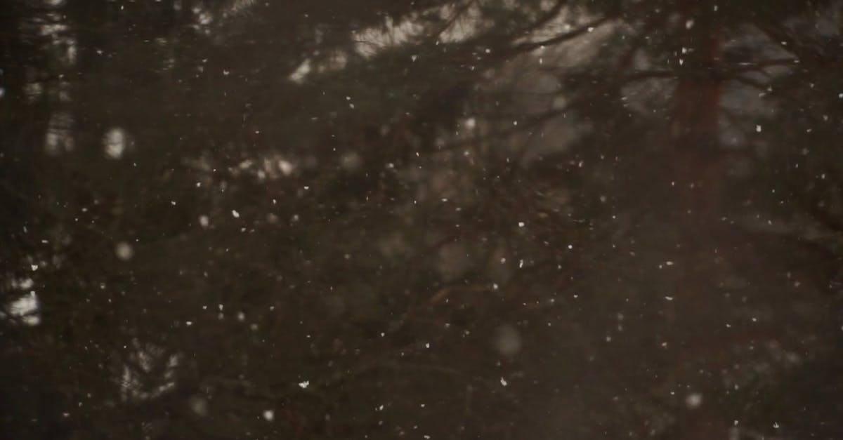 1856985|冬季的雪花落下慢镜头CC0视频素材