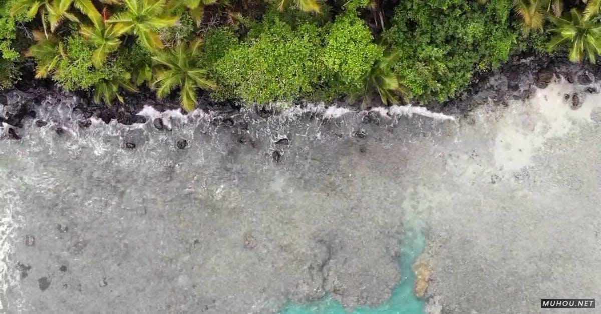 3371612|加勒比海的森林和海岸航拍CC0视频素材插图