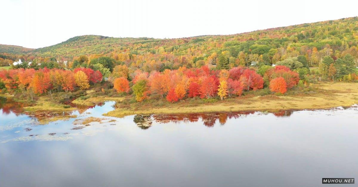 3173409|秋季五颜六色的森林湖景4KCC0视频素材