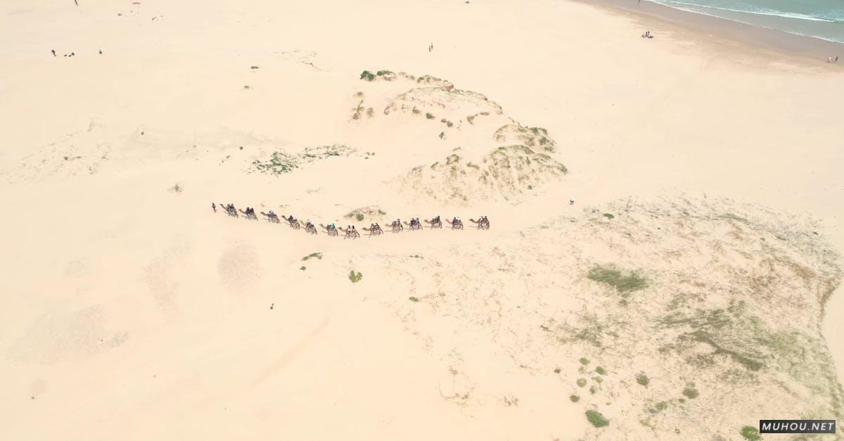 3333416|骆驼在不毛之地沙漠整齐的行走大疆DJI拍摄的4KCC0视频素材
